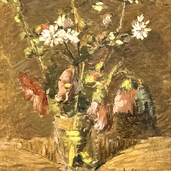 Fiori di campo